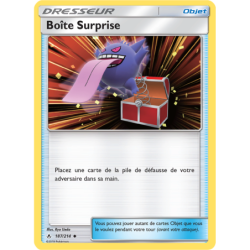 Boîte Surprise 187/214