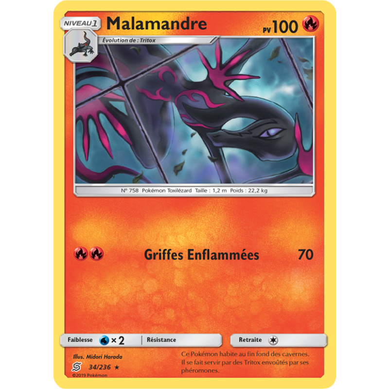 Malamandre 34/236