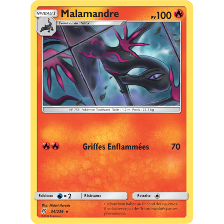 Malamandre 34/236