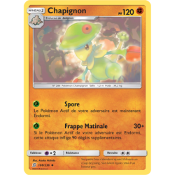 Chapignon 108/236