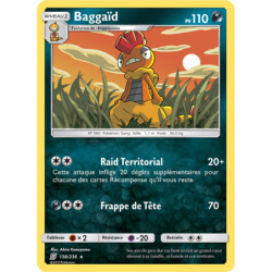 Baggaïd 138/236