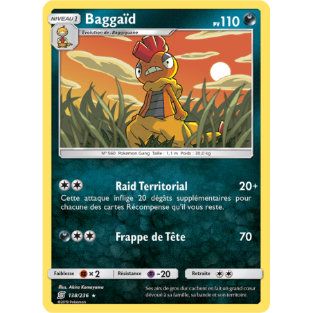 Baggaïd 138/236