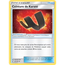 Ceinture de Karaté 201/236