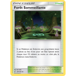 Forêt Sommeillante 207/236