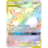 Raichu et Raichu d’Alola GX 241/236