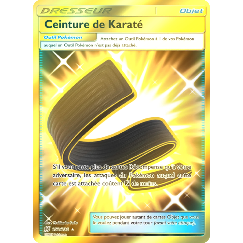 Ceinture de Karaté 252/236