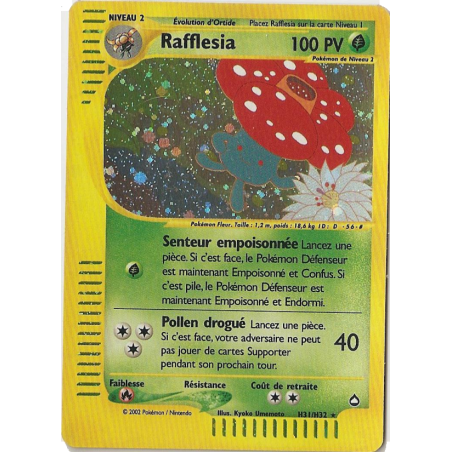 Rafflesia H31/147