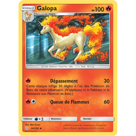 Galopa 24/236