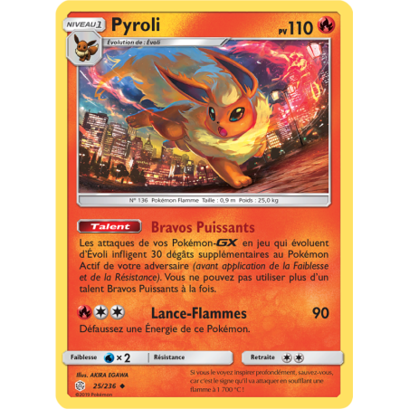 Pyroli 25/236