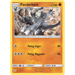 Pandarbare 120/236