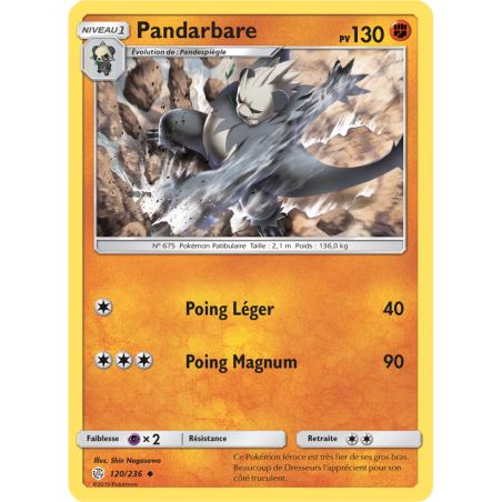 Pandarbare 120/236