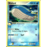 Wailord 14/109