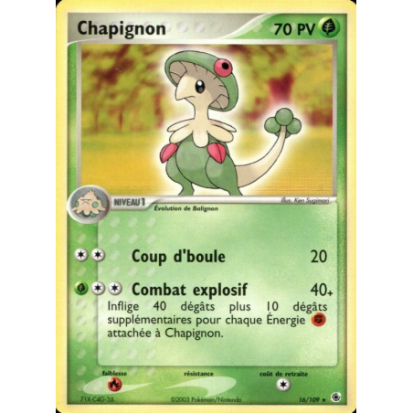 Chapignon 16/109