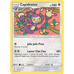 Capidextre 170/236