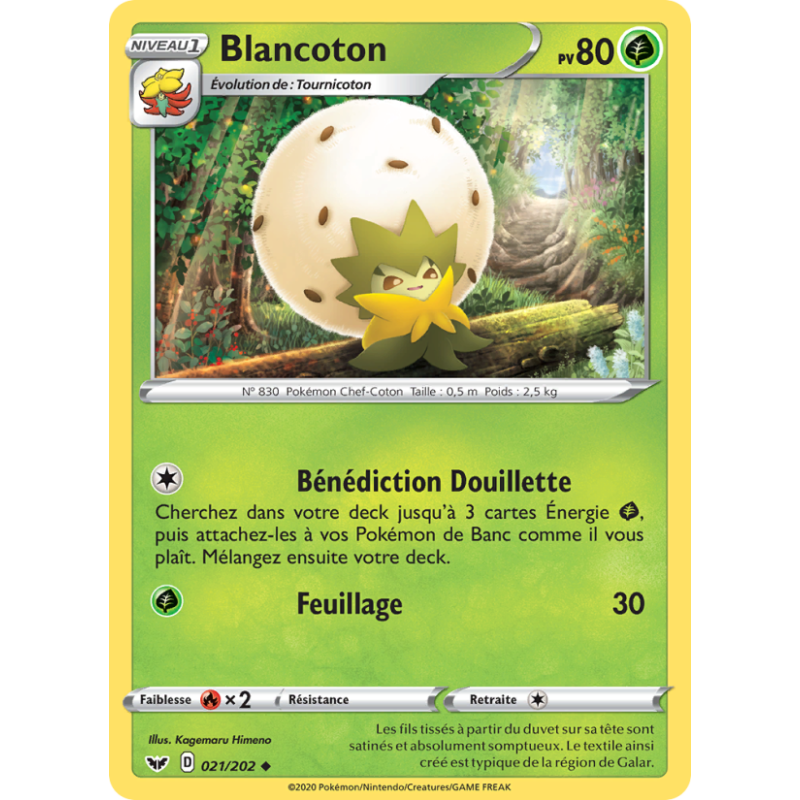 Blancoton 21/202