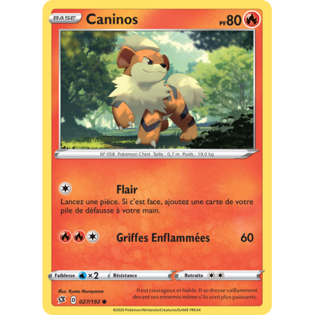 Caninos 27/192