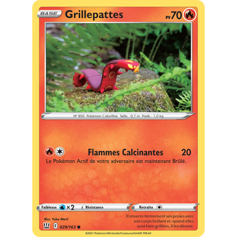 Grillepattes 29/163