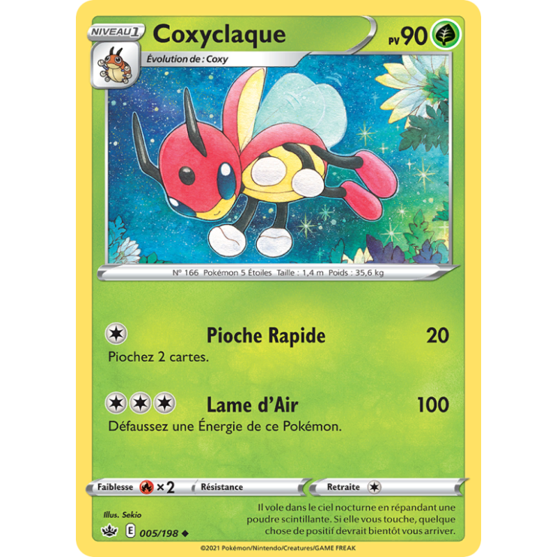 Coxyclaque 5/190