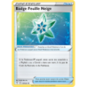 Badge Feuille Neige 159/203