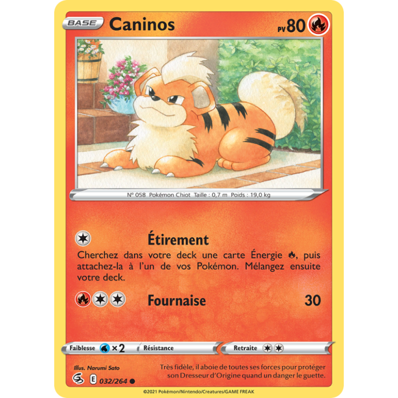 Caninos 32/264