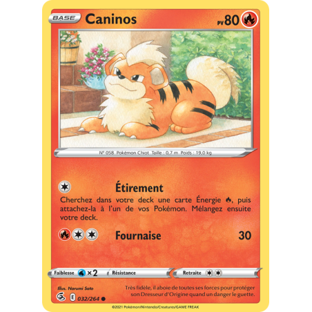 Caninos 32/264