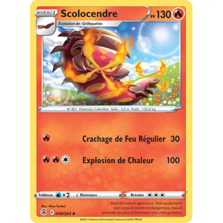 Scolocendre 49/264