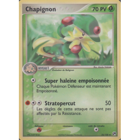 Chapignon 33/100