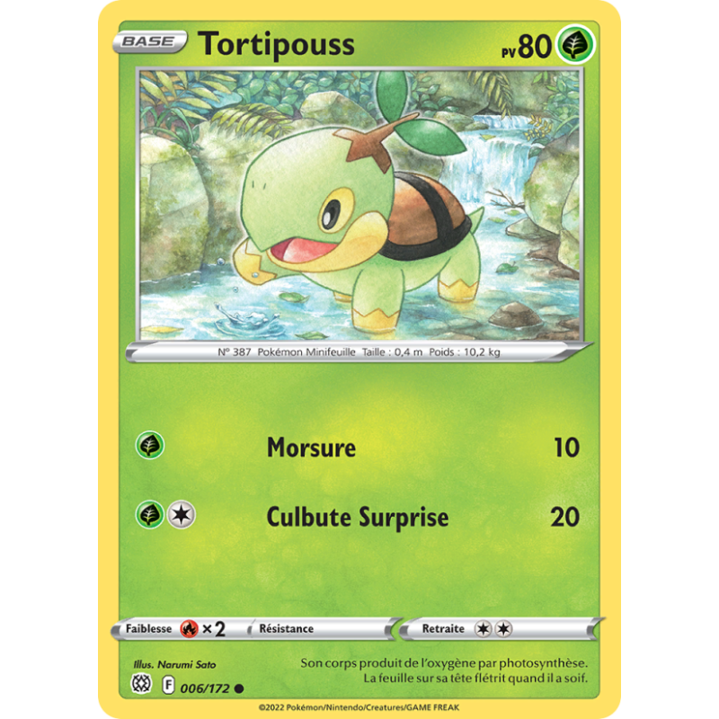 Tortipouss 6/172