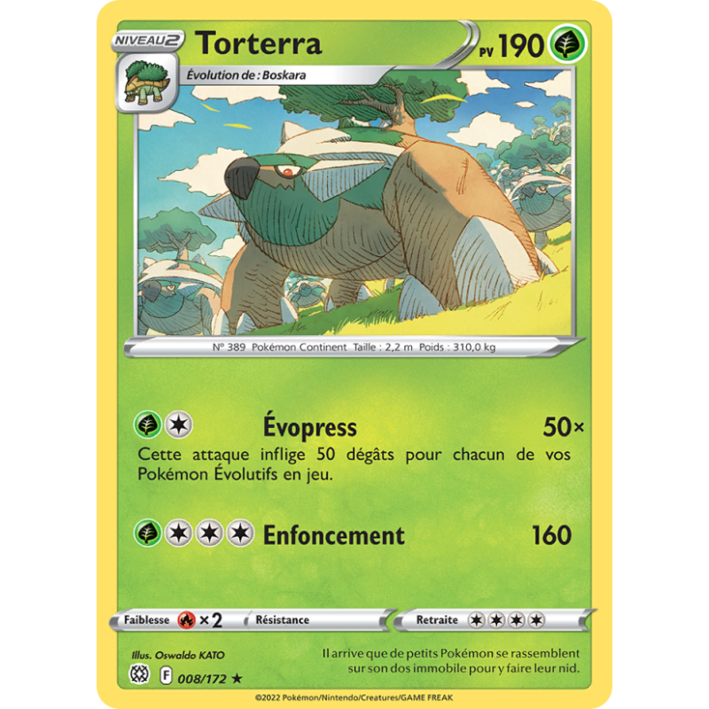 Torterra 8/172