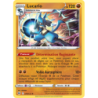 Lucario 79/172