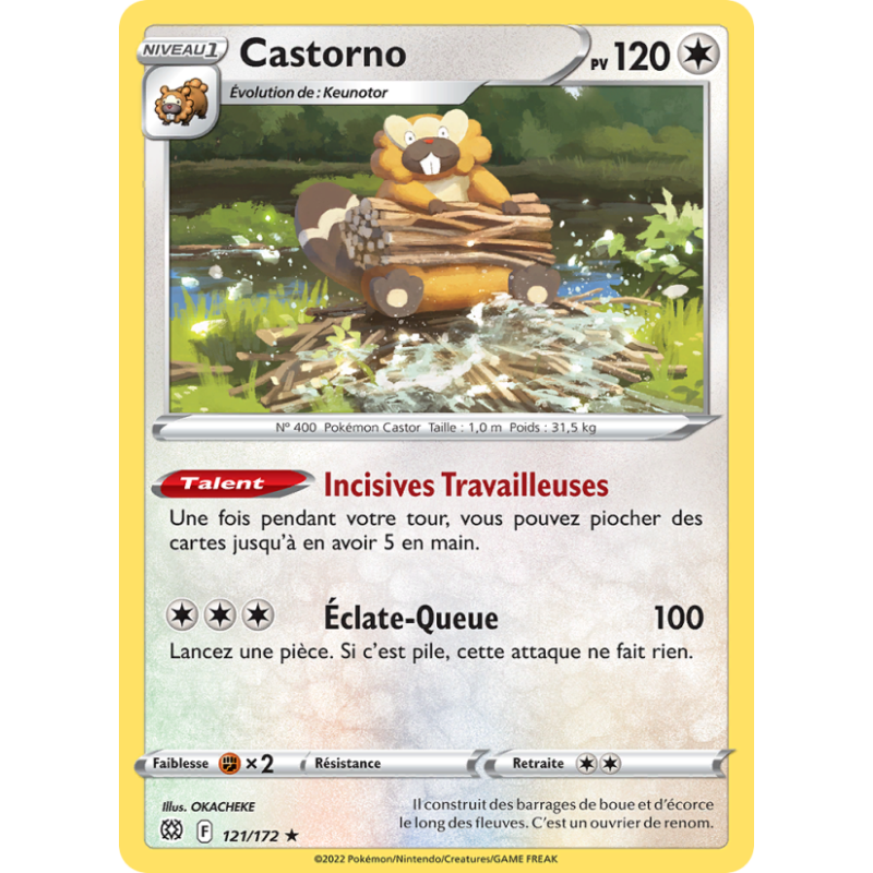 Castorno 121/172