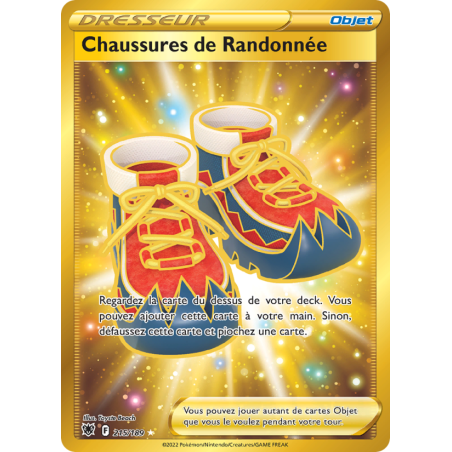 Chaussures de Randonnée 215/189