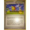 Parc Pokémon 10/17