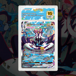 Gradation Shifours Mille Poings Vmax 170/163 | SFG Grading
