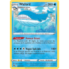 Wailord 38/245