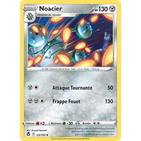 Noacier 122/245