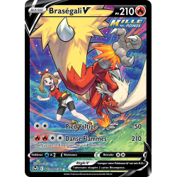 Braségali-V TG14/TG30