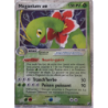 Meganium ex 106/115