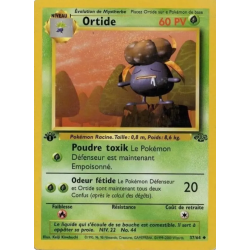Ortide 37/64