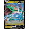 Rayquaza-V 100/159