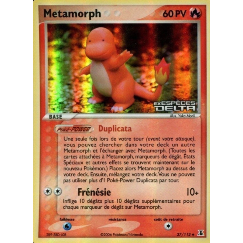 Metamorph 37/113