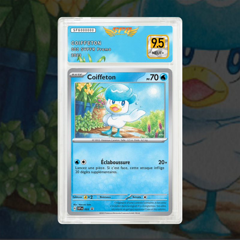 Gradation Coiffeton 003 Full Art | SFG Grading