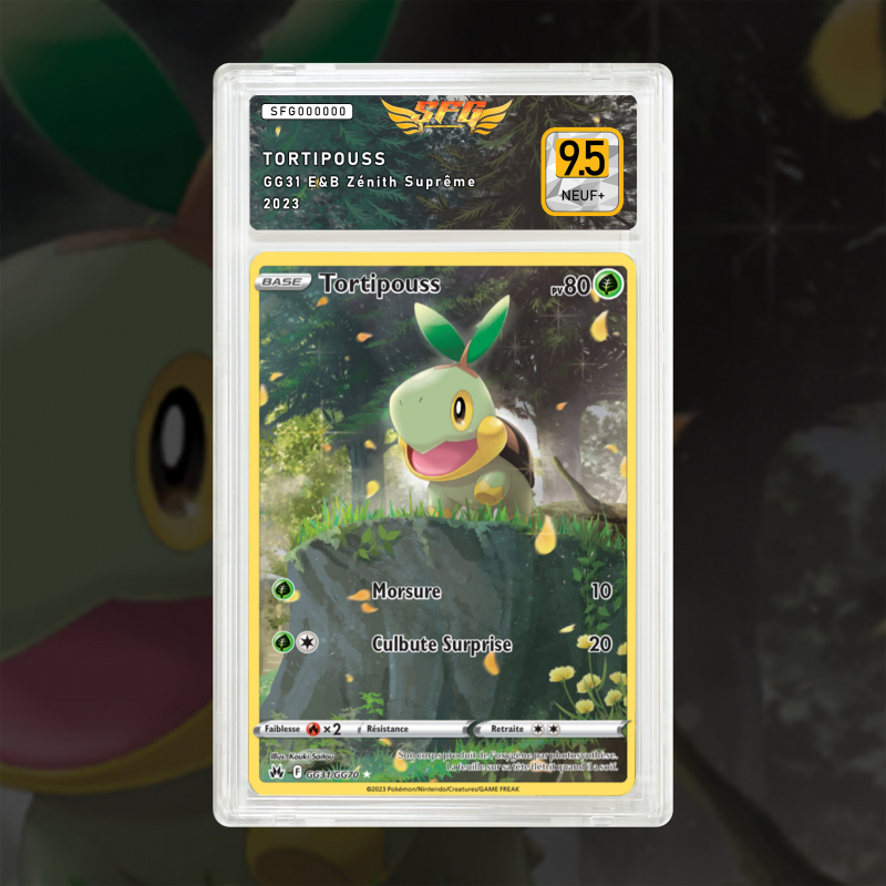Gradation Tortipouss GG31/GG70 Full Art | SFG Grading