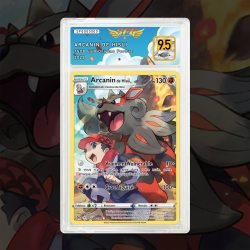 Gradation Arcanin De Hisui TG08/TG30 Full Art | SFG Grading