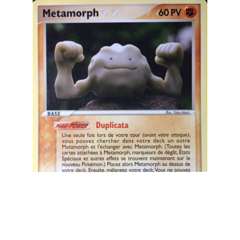 Metamorph 62/113