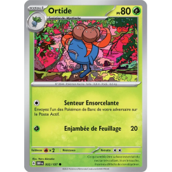 Ortide 2/197