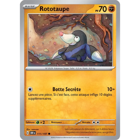 Rototaupe 111/197