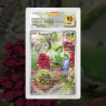 Gradation Poussacha 196/193 Full Art | SFG Grading