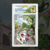 Gradation Matourgeon 197/193 Full Art | SFG Grading
