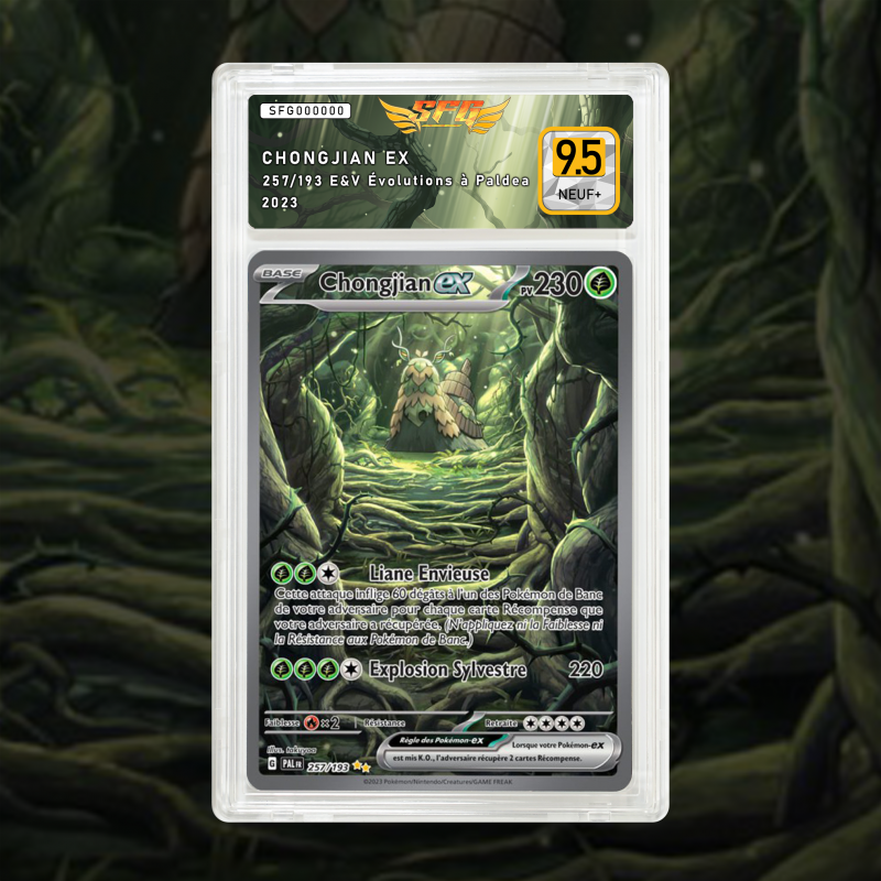 Gradation Chongjian Ex 257/193 Full Art | SFG Grading